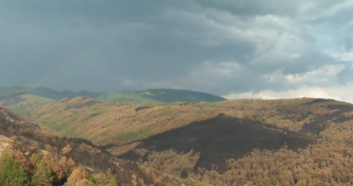 Загасени са локалните огнища които вчера се възобновиха в близост