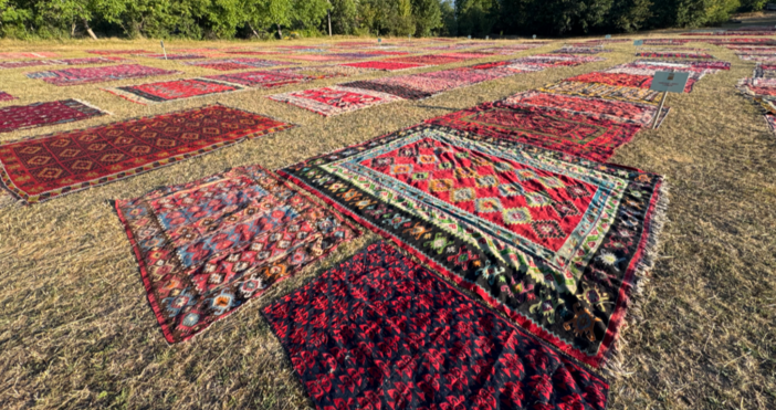 Почти 1000 килима от всички български килимарски школи са подредени