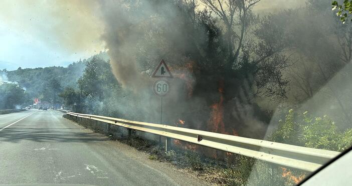 Снимки: Голям пожар бушува край пътя Луковит – София, след