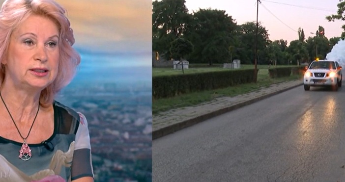 Юли август и септември е пик на активност на комарите