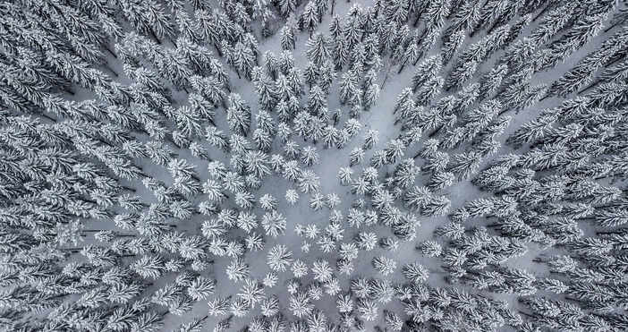 Малко зимна прохлада в летните български дни с вчерашния сняг