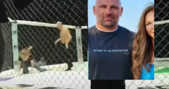 Каква е връзката между едно отхапано ухо Делян Пеевски и