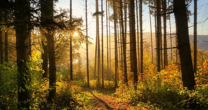 Очаква ни сух и топъл август заяви синоптикът Анастасия Стойчева Тази
