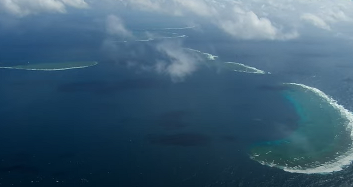 Кадри YoutubeГолемият бариерен риф в Австралия понася най мащабното избелване регистрирано