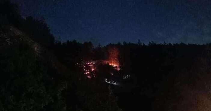  Пожарът на Шуменското плато е локализиран съобщи говорителят на Областната