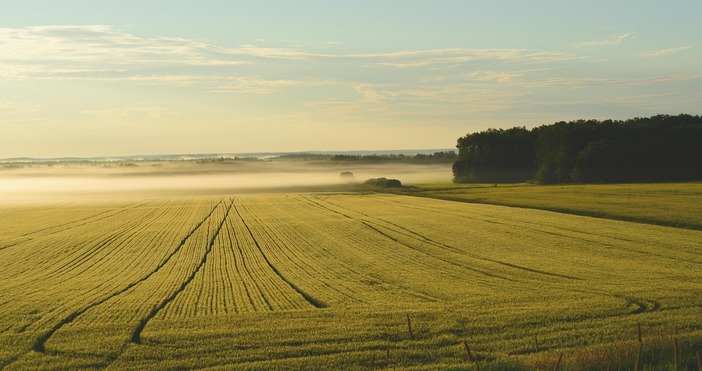 В пъти  ще бъдат завишени цените на земеделските земи на