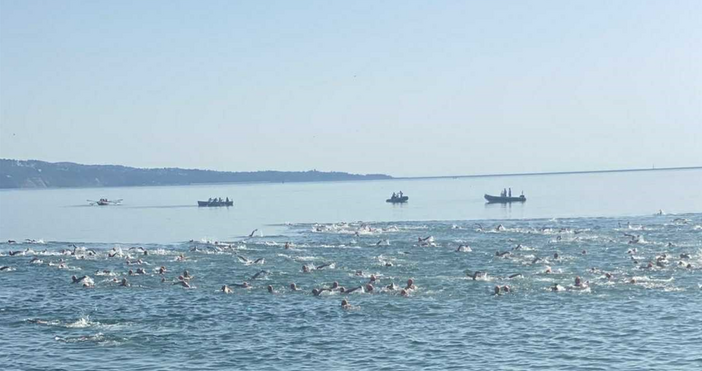 Управителният съвет на хегемона на българското плуване ПСК Черно море