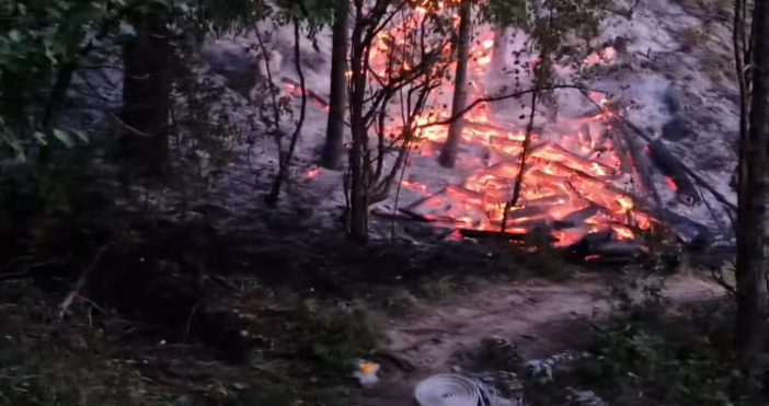 Сериозен пожар горя днес в Шумен Той обхвана част от борова