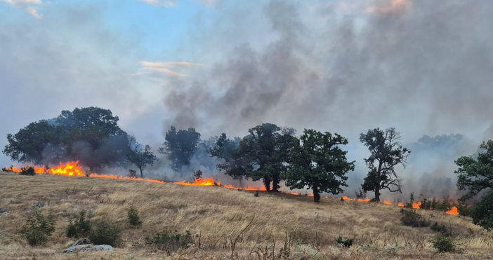 Частично бедствено положение ще бъде въведено днес в община Хасково