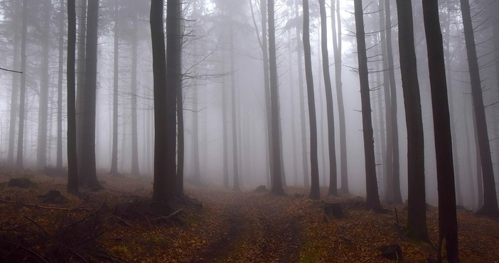 Повечето метеоролози любители ютюбъри или телевизионни метеоролози споменаха за очакваната