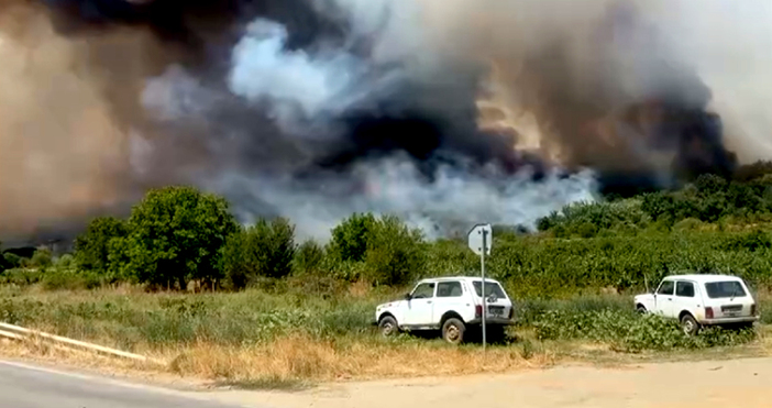Мая Иванова Кадри Нова ТВДве винарни в Долината на виното