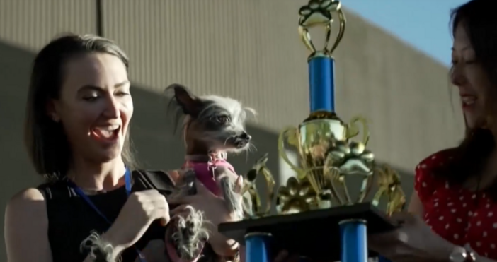 каздър БНТВ Санта Роса Калифорния се проведе традиционната надпревара за