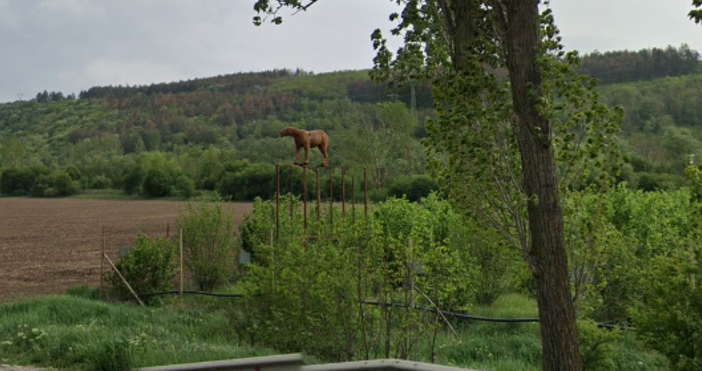 Мая Иванова Снимки Гугъл мапсПумата на Разград Така описват пластика