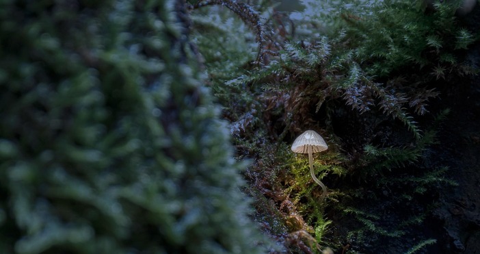 На някои места във вторник може да превали дъжд През нощта