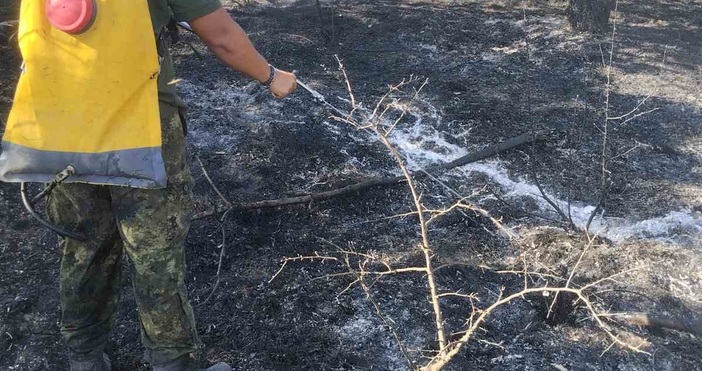 Военнослужещи от Сухопътните войски и от Военновъздушните сили днес отново