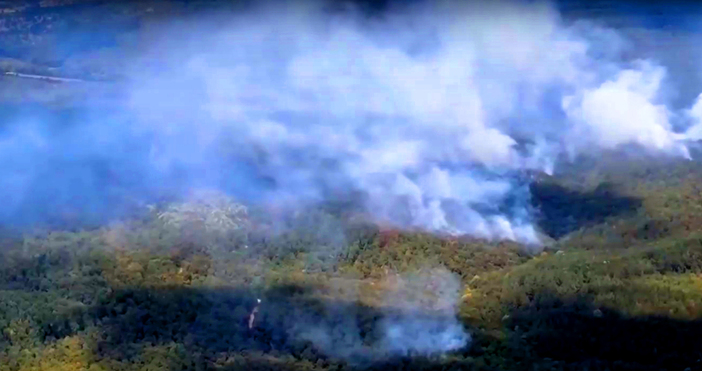 Мая Иванова Кадри Нова ТВТеренът обхванат от пожара в Сунгурларско