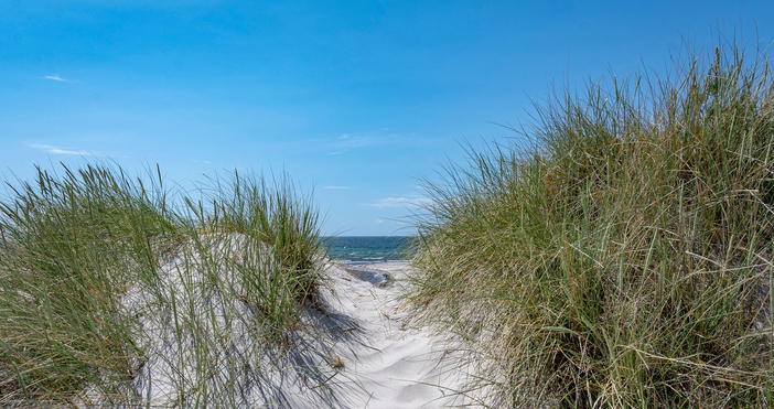 Днес ще бъде предимно слънчево в следобедните часове главно над