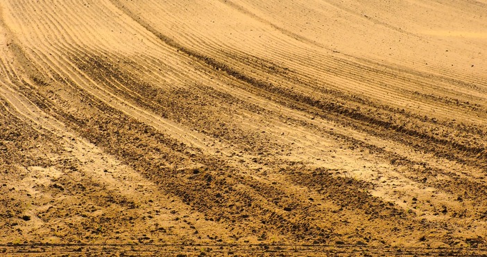 Спрямо 2018 г стойностите са увеличени над три пъти Например
