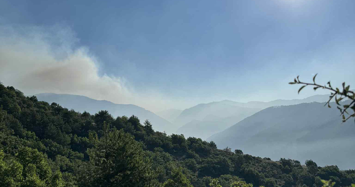 Продължава да гори пожарът над Сандански каза за БТА директорът