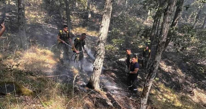 За пореден ден днес 13 август военнослужещи от Сухопътните войски