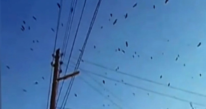 Мая Иванова Кадър Нова ТВМалко повече от месец преди края