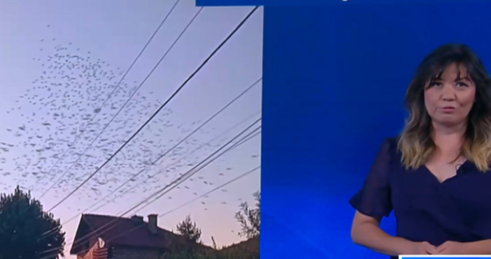 Въпреки че температурите остават летни а Черноморието ни е още