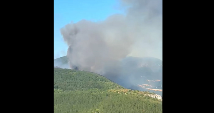 Около 50 декара горска постеля гори в района на кърджалийското