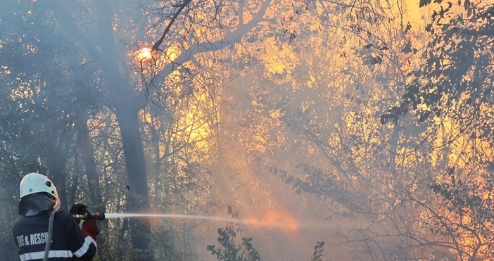 Пореден ден продължава борбата с големите пожари у нас Най тежка и