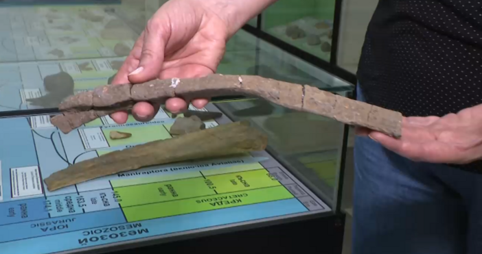 Сезонът на проучване на вкаменелости в района на Трън приключи