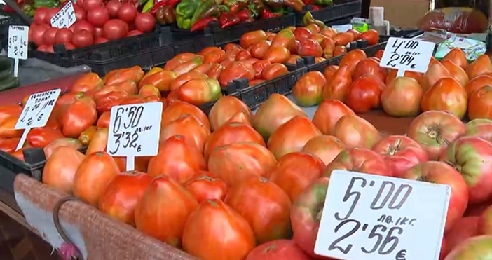 Мая Иванова Кадър Нова ТВОлиото е най скъпо в Пловдив и