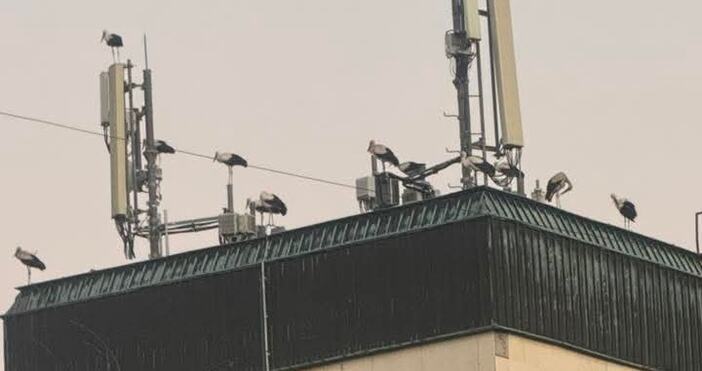 Интересни кадри сподели жена в социалната мрежа Ето какво пише тя Вчера