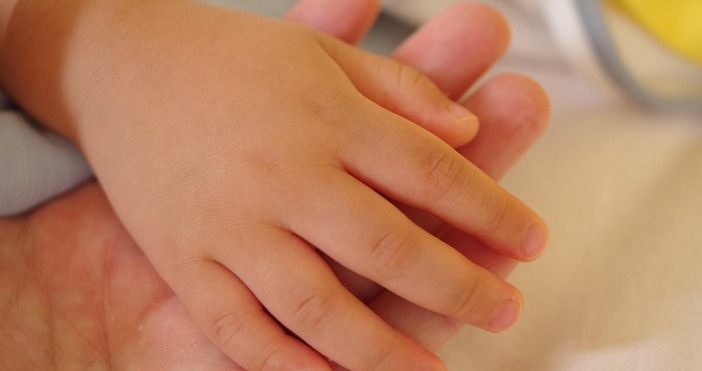 Екипът на Министерството на труда и социалната политика вече работи