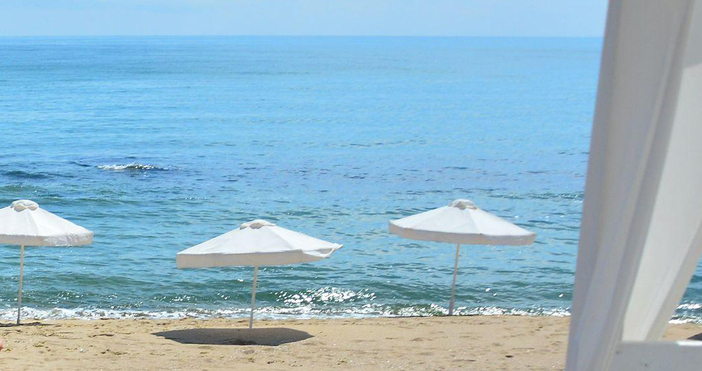 Мъртви делфини са забелязани на плаж Шкорпиловци - юг от