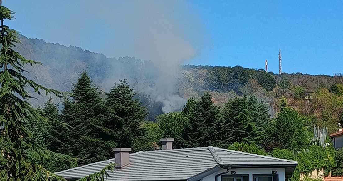 И двата пожара край Варна са загасени съобщиха за БТА