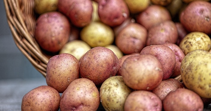 Бонита Гибсън която навърши 114 години разкри тайните си за