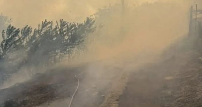 Голям пожар избухна в района на 7 ми километър край Стара