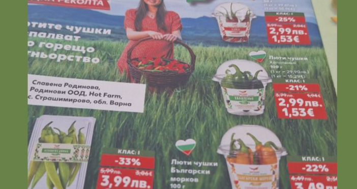 Нов и изцяло български сорт люти чушки Български дух вече