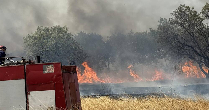 6 часа продължи борбата с пожара във вилната зона Лозницата