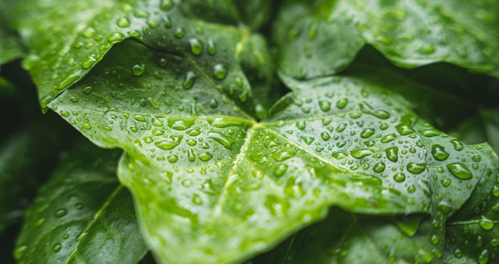 Синоптиците любители обърнаха внимание на любопитен факт Типичен пример за шантавото