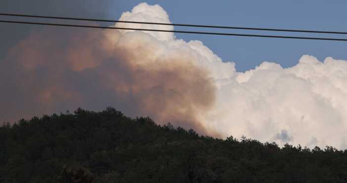 Ново изследване показва че димът от горските пожари е доста