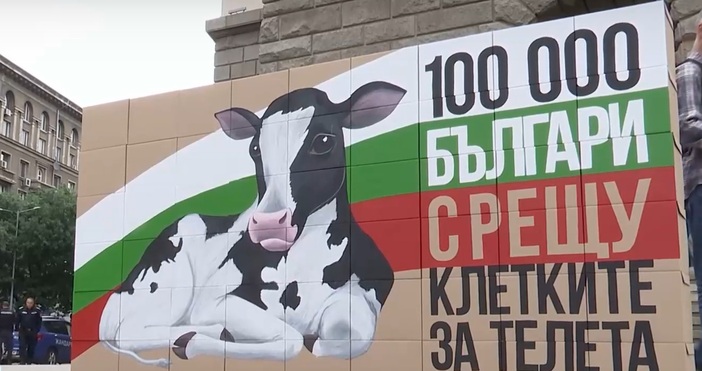 Над 110 хиляди подписа с искане за забрана на клетките