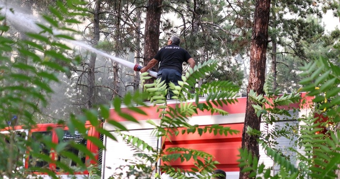 Продължават усилията за пълното потушаване на пожара в Пирин планина,