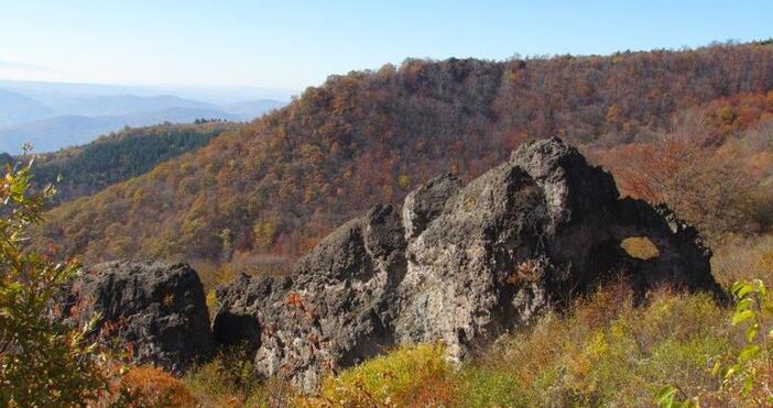 Обявени са четири нови защитени територии и е въведена промяна