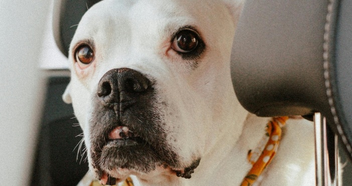 Българска гражданка е била задържана от гръцката полиция защото оставила