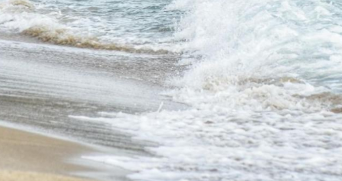 Най вероятно те са станали жертва на оплитане в рибарски мрежи