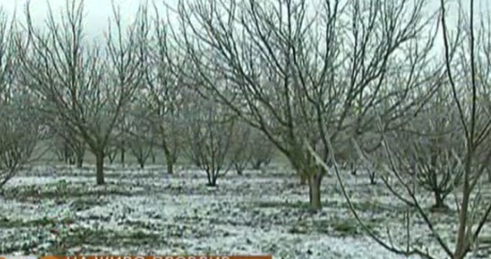 Започва поетапното изплащане на държавната помощ за компенсиране на щетите