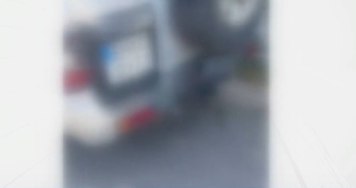 Поредна жестокост спрямо куче Този път сигналът е от Лесидрен