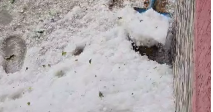 Силният вятър и падналите валежи са нанесли поражения в общините