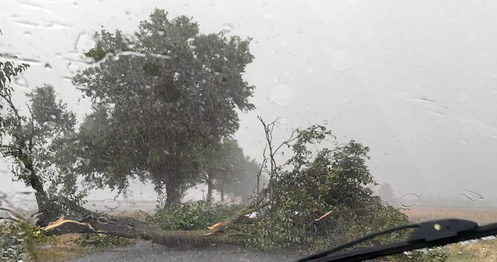 След бурята ситуацията в област Добрич е тежка съобщиха от