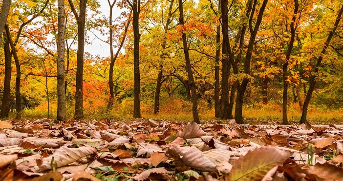 От Националния институт по метеорология и хидрология НИМХ публикуваха прогнозата